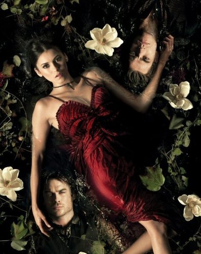  New TVD Poster