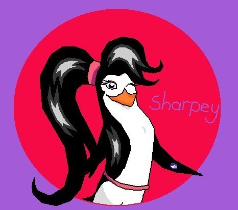 Sharpey The Penguin