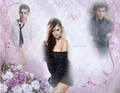 The Vampire Diaries-Damon,Elena,Stefan - the-vampire-diaries photo