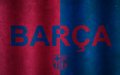 Visca el Barca - fc-barcelona photo