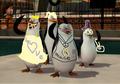 hahahahaha!  - penguins-of-madagascar fan art