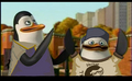 kowalski and private as coach and ellis - penguins-of-madagascar fan art