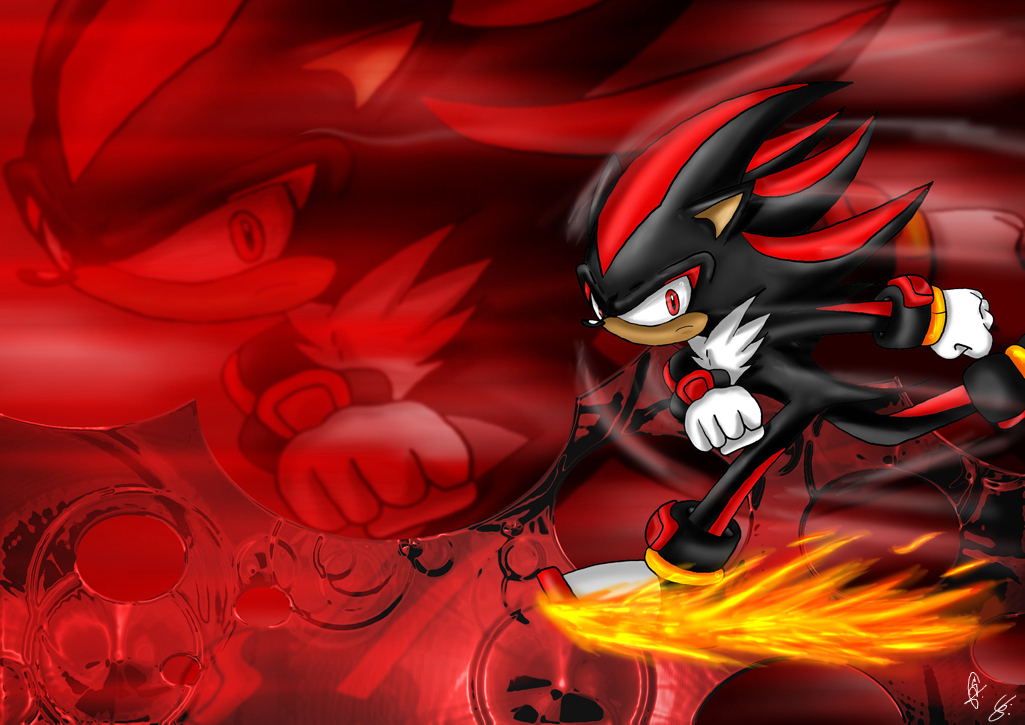 shadow-the-hedgehog-sonic-knuckles-silver-and-shadow-is-to-sexy-21401708-1025-725.jpg
