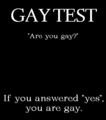 Gay Test  - lgbt photo