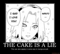 THE CAKE IS A LIE!!! - naruto photo