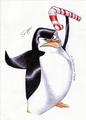 skipper on christmas - penguins-of-madagascar fan art