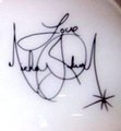 * ♥ ˚ ˚✰˚Michael's Signature* ♥ ˚ ˚✰˚ - michael-jackson photo