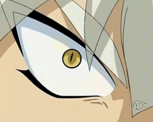  Anubias's eye