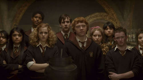  HP the order phoenix and the goblet of brand