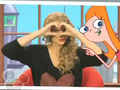 phineas-and-ferb - Taylor Swift on Take Two with Phineas and Ferb screencap