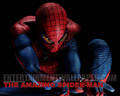 upcoming-movies - The Amazing Spider-Man (2012) wallpaper