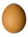 eggs - random photo