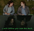 i will follow you - twilight-series photo