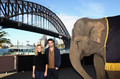 "Water For Elephants" Sydney Press Conference [HQ] - robert-pattinson photo