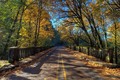 Bridge - autumn photo