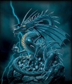 DARK DRAGON - dragons photo