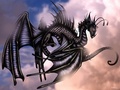 Dragon - dragons photo