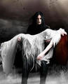 Gothic Severus & Lily - severus-snape fan art