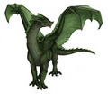 Green Dragon - dragons photo