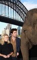 Reese @ Water For Elephants Sydney Press Conference - reese-witherspoon photo
