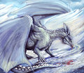 White Dragon - dragons photo