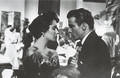 montgomery clift - classic-movies photo