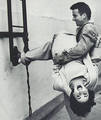 montgomery clift - classic-movies photo