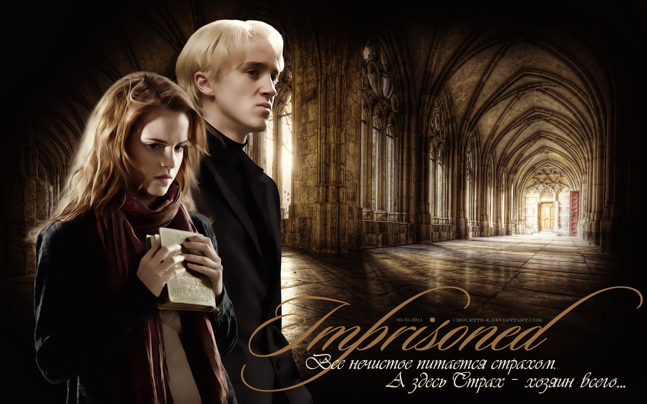 image, wallpaper, photos, photo, photograph, gallery, dramione, hermione, d...