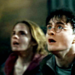 Harry Potter || DH - harry-potter icon