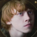 Harry Potter...( HP and the Half- Blood Prince ) - harry-potter icon