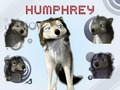 Humphrey Cheap Photoshop - alpha-and-omega fan art