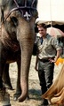 Rob & Tai "Water For Elephants" Still - robert-pattinson photo