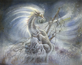 Beautiful Dragon - fantasy photo