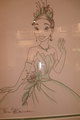 Disney Princess drawings - disney-princess photo