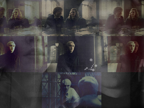  Draco + Hermione