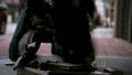 Hellcats - 1x20 - Warped Sister - hellcats screencap