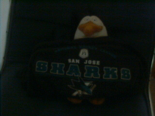 Rico with my San Jose Sharks shirt