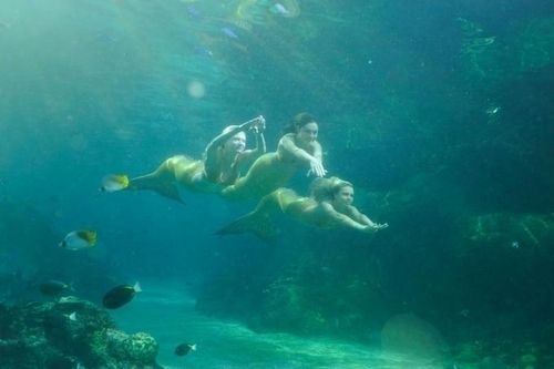 H2O – Plötzlich Meerjungfrau