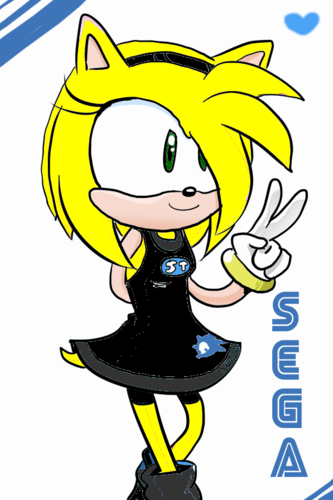  rose the hedgehog in a sonic team outfit