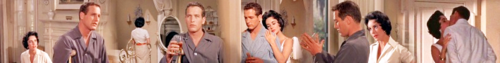  Cat on a Hot Tin Roof - Banner