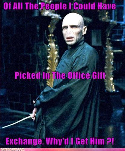  Death Eater/Voldemort LOLS!