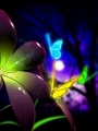 Neon Butterflies - bright-colors photo