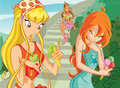 The winx wallpapers - the-winx-club photo