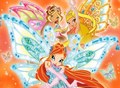 The winx wallpapers - the-winx-club photo
