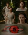 breaking dawn poster fanmade  - twilight-series fan art