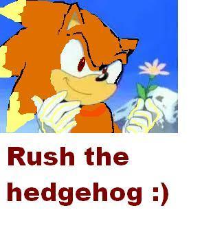  rush the hedgehog