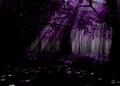 violet sensation - beautiful-pictures photo