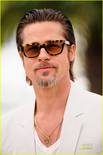 Brad Pitt: Cannes Photo Call for 'Tree of Life'