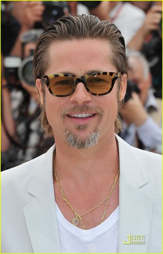  Brad Pitt: Cannes picha Call for 'Tree of Life'