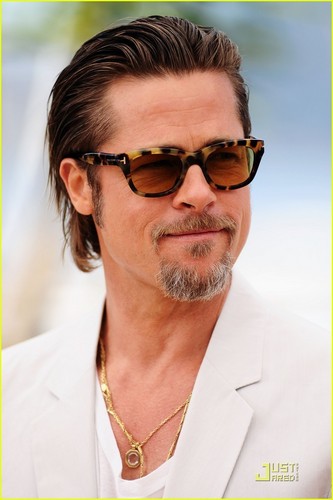  Brad Pitt: Cannes litrato Call for 'Tree of Life'